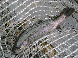f0065341_17524123.jpg
