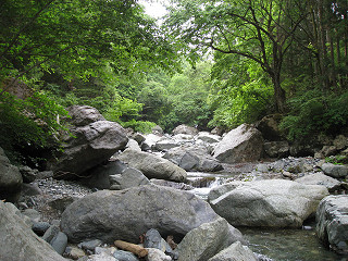 f0065341_17533755.jpg