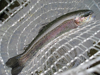 f0065341_17552136.jpg