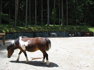 f0065341_17583734.jpg