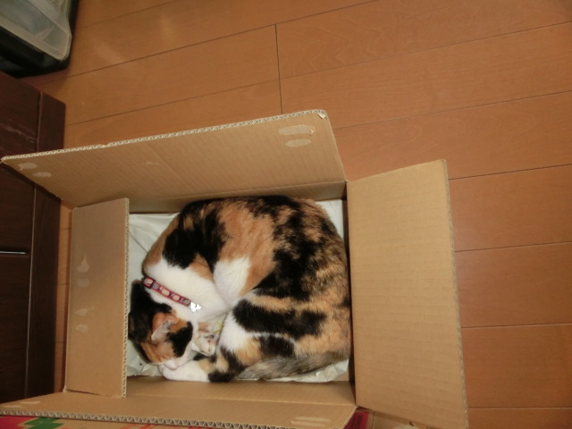 c0194042_1952377.jpg