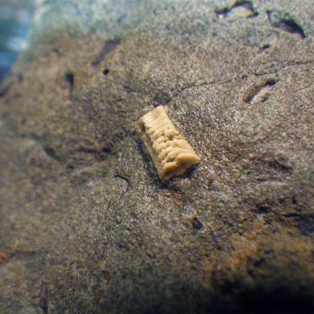 e0290546_22241960.jpg