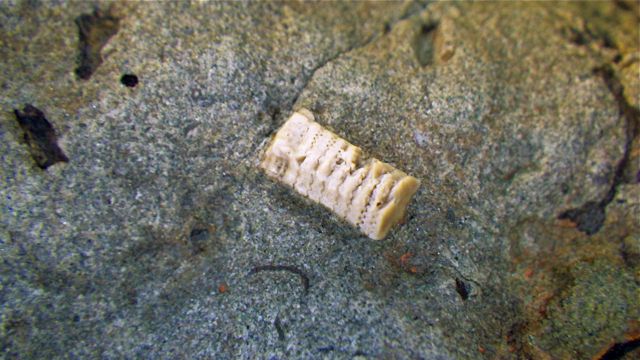 e0290546_22242381.jpg