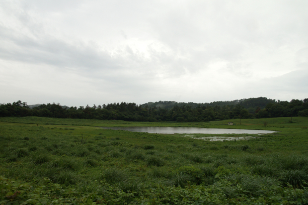 f0214649_4523254.jpg