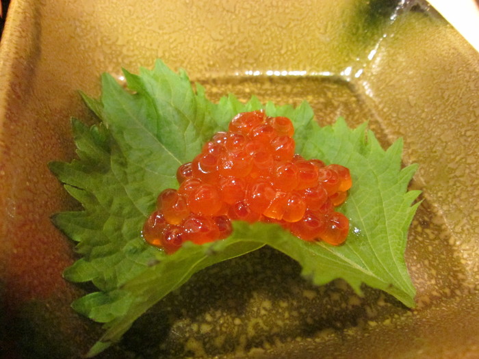 a0041150_8431531.jpg