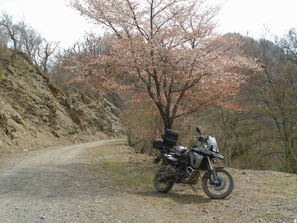 b0250353_1841347.jpg