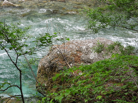e0088260_211137100.jpg