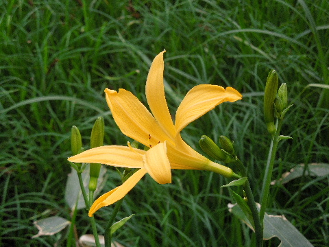 e0088260_21114965.jpg