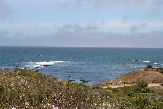 c0115366_245345.jpg