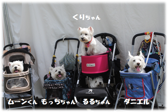 b0242873_0255730.png