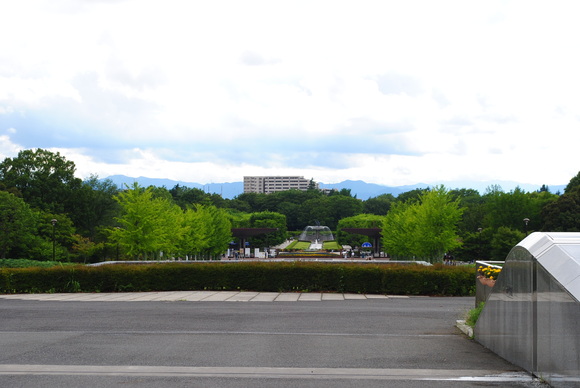 b0242873_028559.jpg