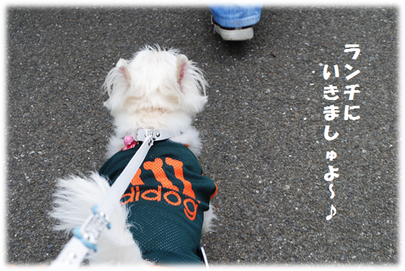 b0242873_03542100.png