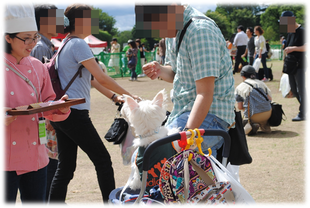 b0242873_1123988.png
