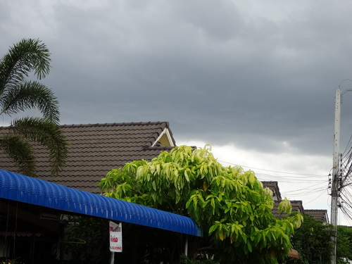 a0002177_1225362.jpg