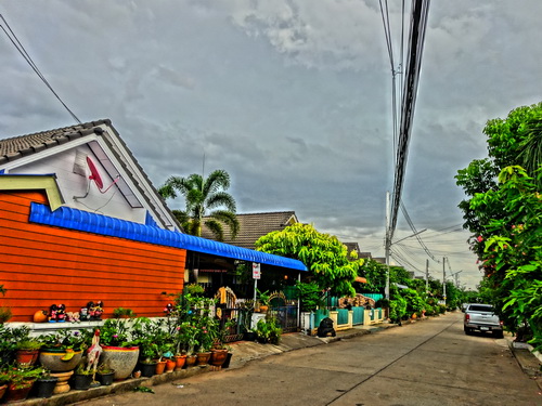 a0002177_1227225.jpg