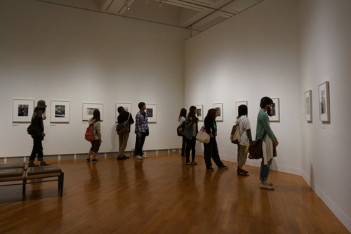 b0108779_1629637.jpg