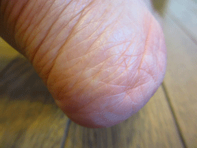 f0110488_2357474.gif