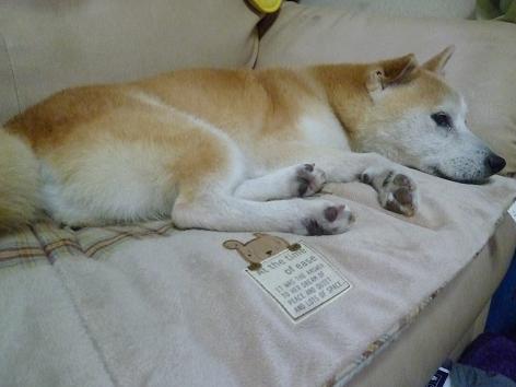 c0123890_2228560.jpg