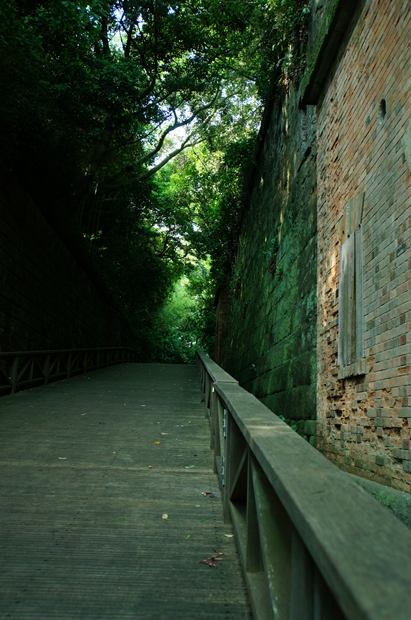 f0224192_20423090.jpg