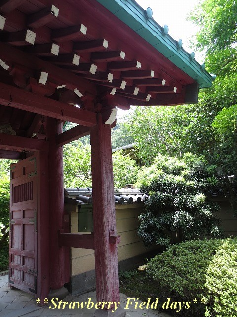 c0087094_21164131.jpg