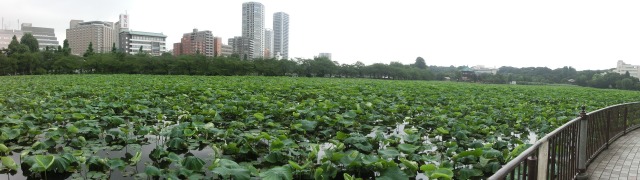 b0190603_1445841.jpg