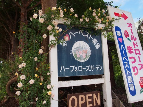 c0117007_20592577.jpg