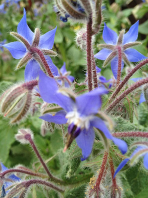 d0118208_13492133.jpg