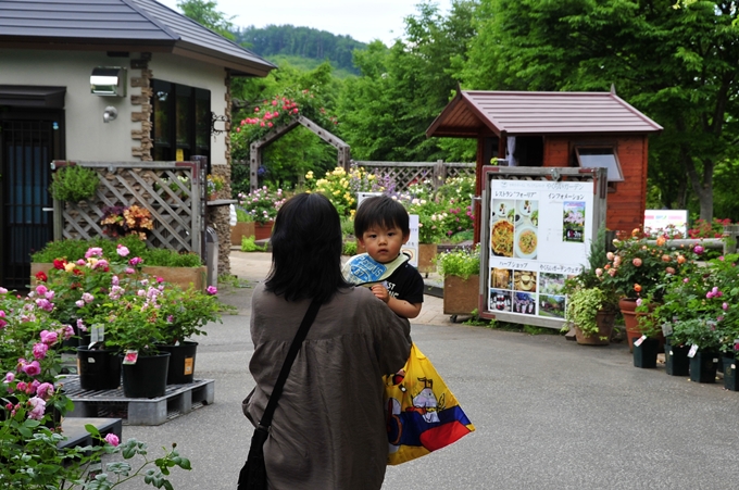d0179113_10562177.jpg