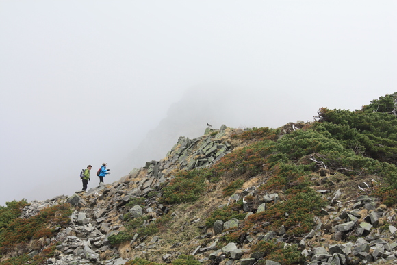 b0093515_22122364.jpg