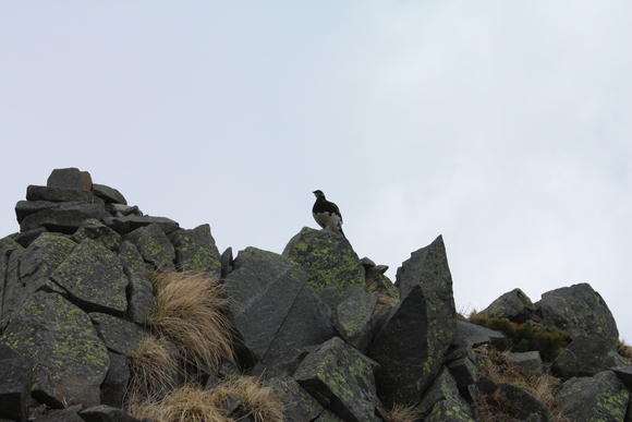 b0093515_2218040.jpg