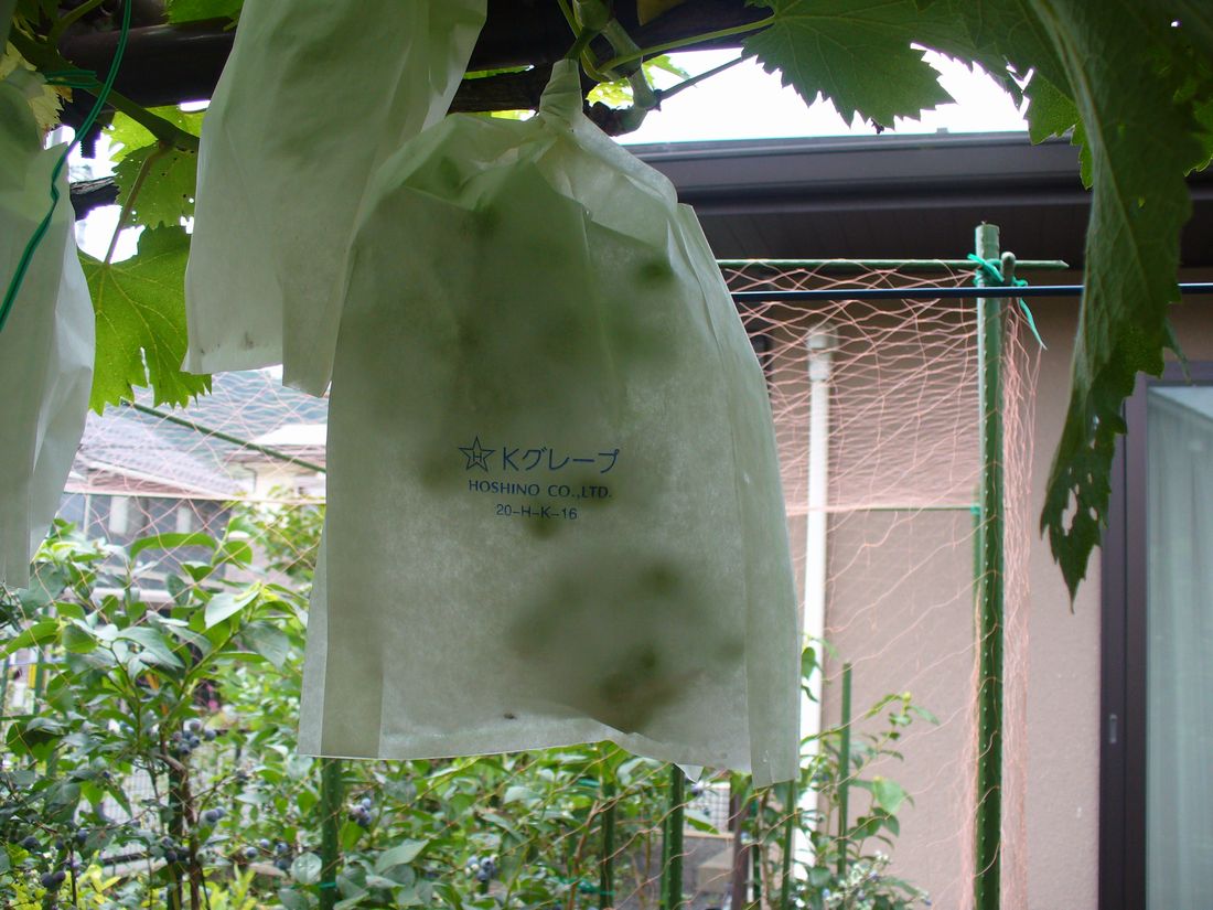 f0275632_2326021.jpg