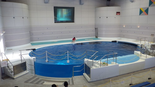 e0305733_7463990.jpg