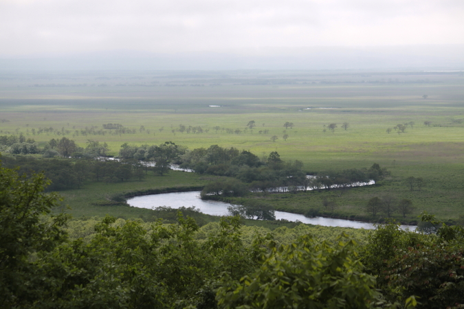 f0113639_1648342.jpg
