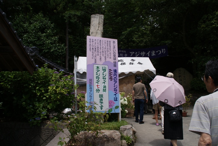 c0022340_235044.jpg