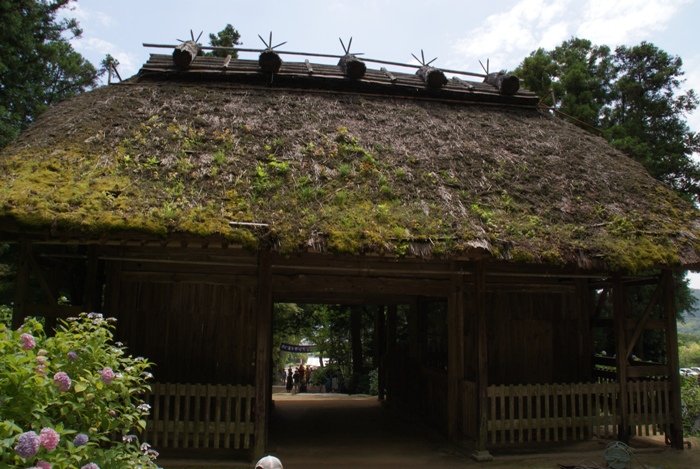 c0022340_2351895.jpg