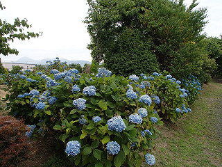 f0065341_1147225.jpg