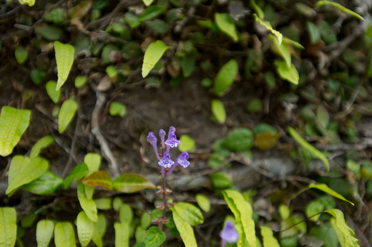 b0023047_661479.jpg
