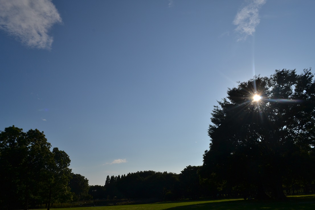 a0055650_2043545.jpg