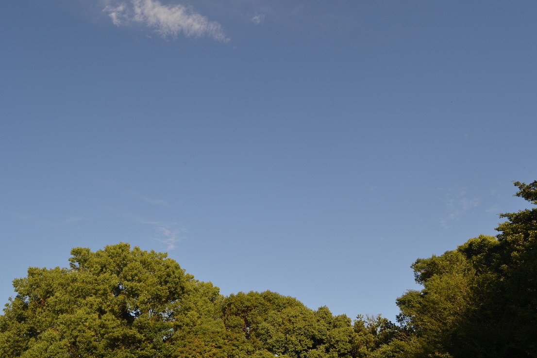 a0055650_20494373.jpg