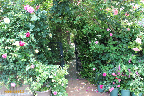 a0249051_423465.jpg
