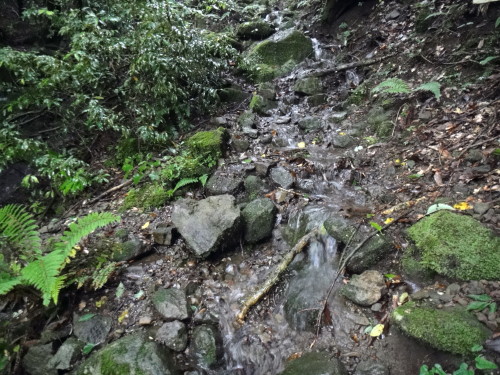 c0179351_23185412.jpg