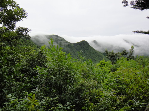 c0179351_23193978.jpg