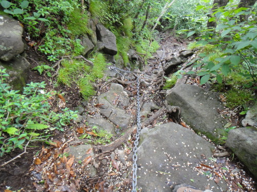 c0179351_23231664.jpg