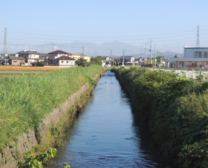 b0173754_15403094.jpg