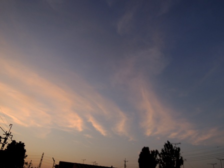 b0173754_1544503.jpg