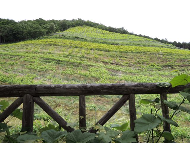 b0173754_15461595.jpg
