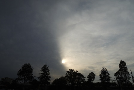 b0173754_1547468.jpg
