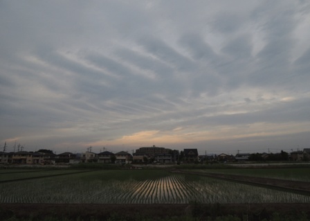 b0173754_15475429.jpg