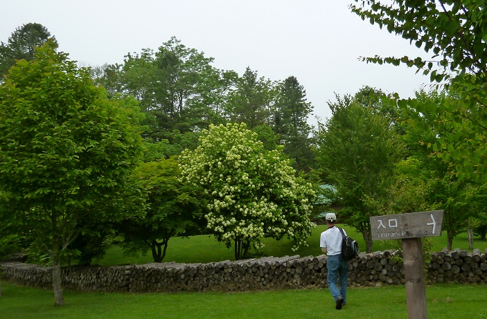 a0193457_74545.jpg