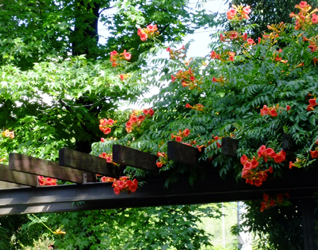 c0097558_17572313.jpg